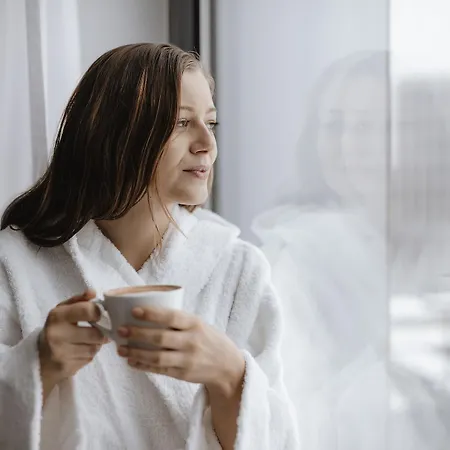 Hotel Ibis Styles Center